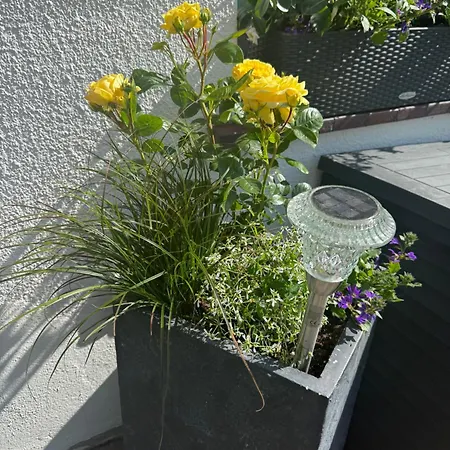 Haus Talblick Edersee Guest house 3*